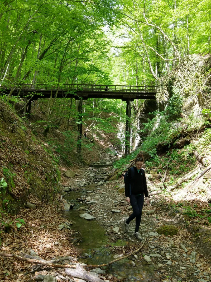 Naturograf